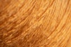 фото 8